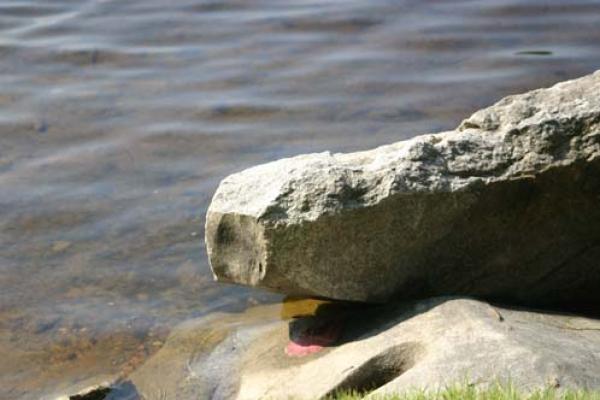 larger picture